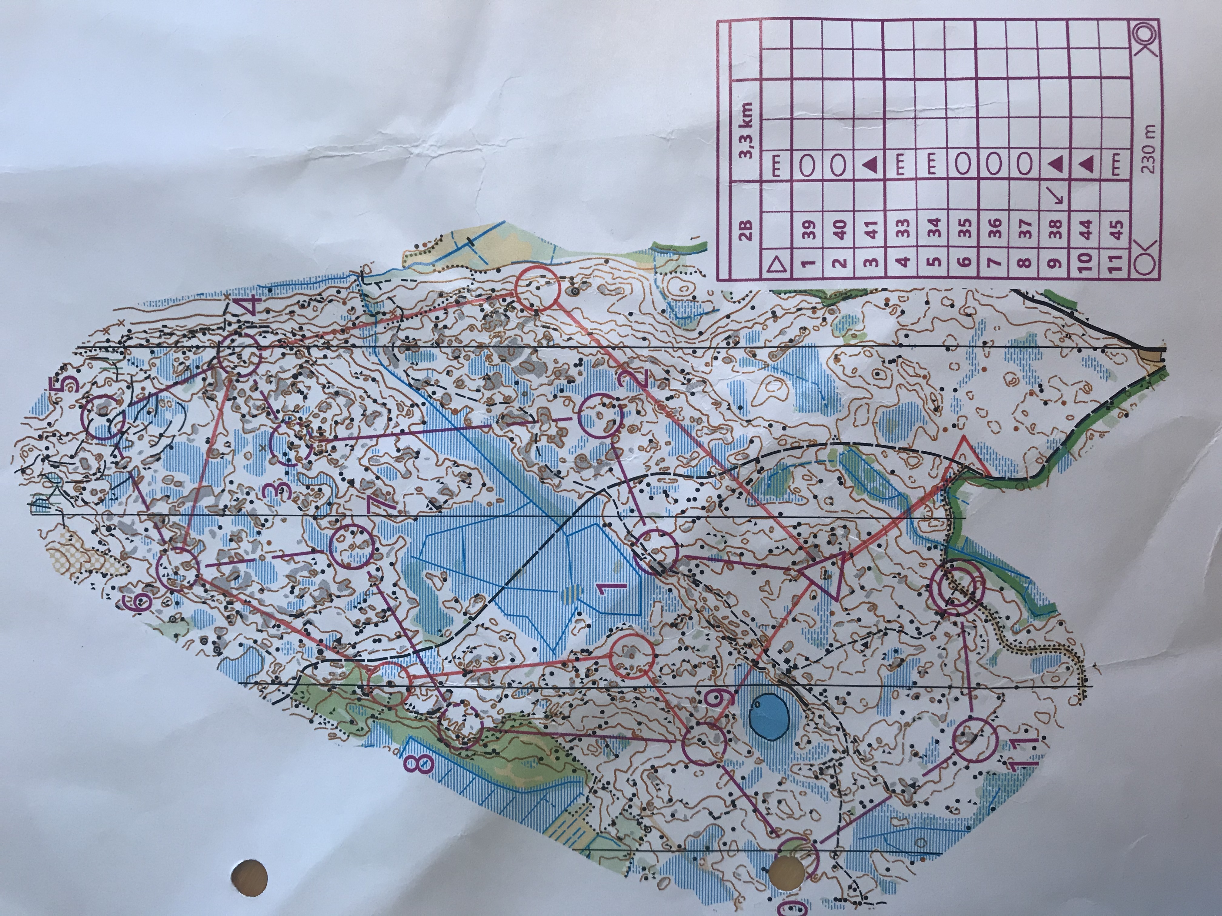 Pulesjärvi -suunnistustreeni