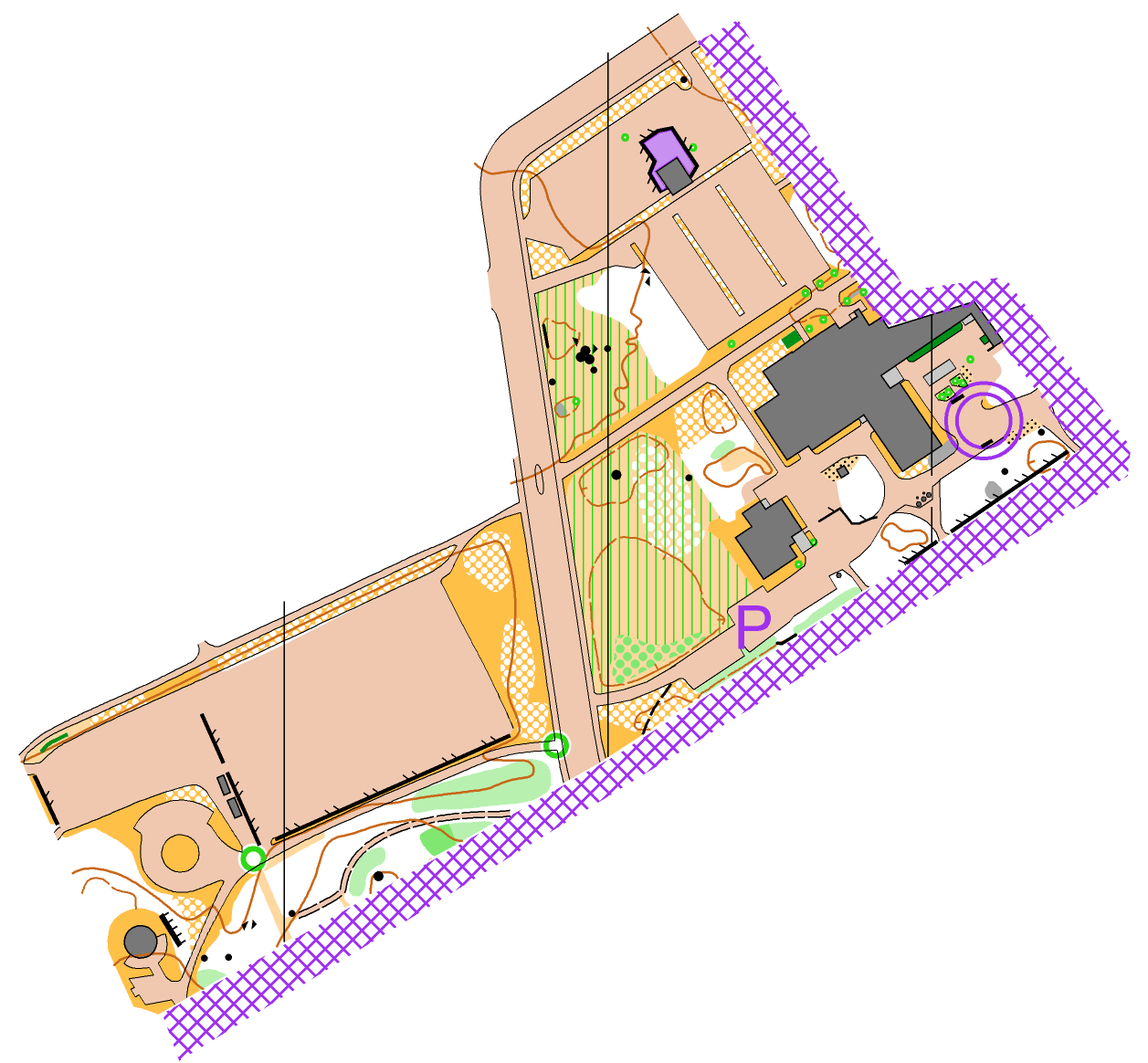 Suunta Huipulle tähtiharjoitus, Tampere